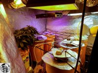 q09 - копия.jpg