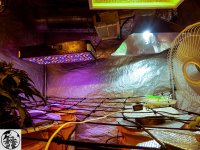 q10 - копия.jpg