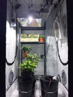 хг (1) - копия.JPG