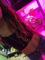 хг (5) - копия.JPG