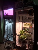 хг (7) - копия.JPG