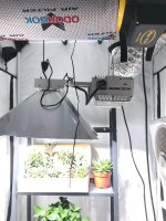 хг (10) - копия.JPG