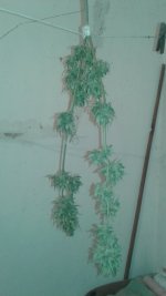 20180711_134207.jpg