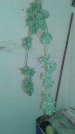 20180711_134203.jpg