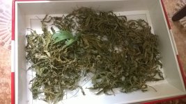 WP_20180715_006.jpg