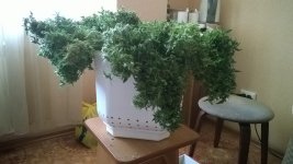 WP_20180715_009.jpg