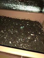 IMG_20180716_235805.jpg