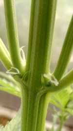 S80717-041547.jpg