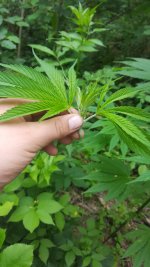 20180709_110836.jpg