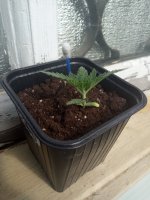 IMG_20180717_151640.jpg