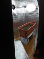 IMG_20180717_153359.jpg