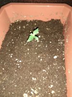 IMG_20180719_195839.jpg