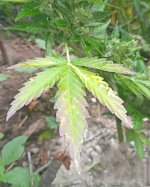 IMG_20180720_012338.jpg