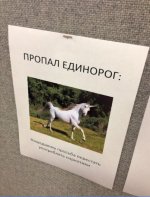 BpSMnkJ1GrE.jpg