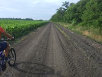 IMG_20180617_180036_BURST71.jpg
