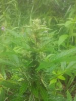 imgonline-com-ua-dexifoo6YVmTA2Bxb.jpg
