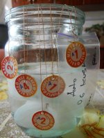 DSCN5655.JPG