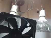 20180724_204110.jpg 20180724_204110.jpg