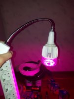 20180709_150329.jpg