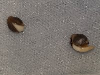 20180725_073935.jpg