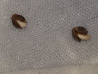 20180725_073920.jpg