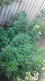 20180711_075725.jpg