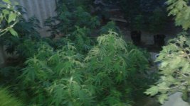 20180714_205557.jpg