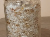 20180725_171240.jpg