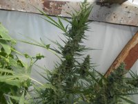 DSCN5616.JPG