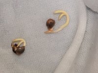 20180726_013433.jpg