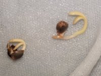 20180726_013402.jpg