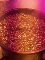 20180726_014136.jpg
