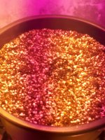 20180726_014118.jpg