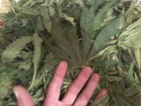 для сайтааа 005.jpg