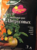 IMG_0933.JPG