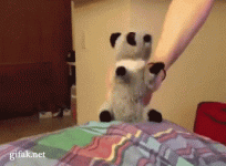 игр.gif