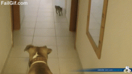 прыг.gif