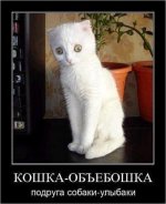oPdxW5j6sQw.jpg