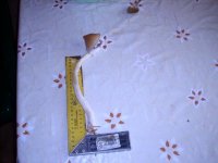 DSCN0501.JPG