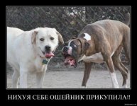 Безымянный.jpg