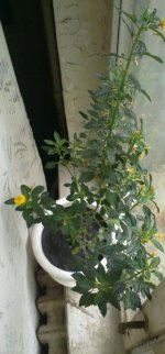 121020121819.jpg