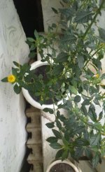 121020121824.jpg