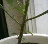 121020121830.jpg