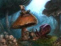mushroomb.jpg