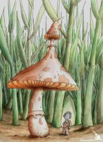 1244012629_mushrooms____________________13_07_2007.jpg