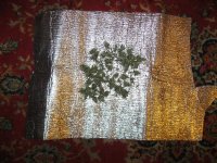 IMG_1333.JPG