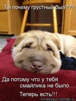 48a54976cf30.jpg