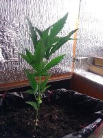 IMG_20121021_093051.jpg