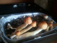 IMG_20121023_111128.jpg