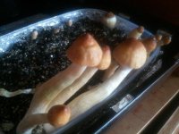 IMG_20121023_111243.jpg